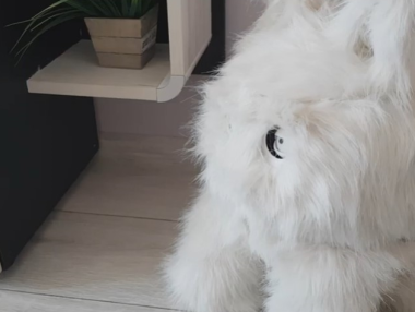 Chibi – първият роботизиран домашен любимец в България