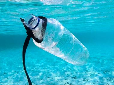 Плесента, която може да спаси света от пластмасата