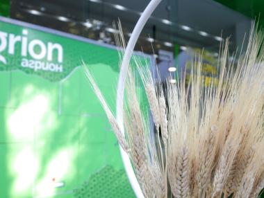 Пазарът на земеделска земя се събужда с онлайн търговия