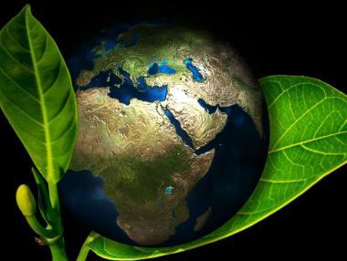 Инвестициите в „зелени“ стартъпи процъфтяват