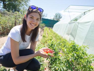 Земеделски стартъпи може да раздвижат фермерството в България
