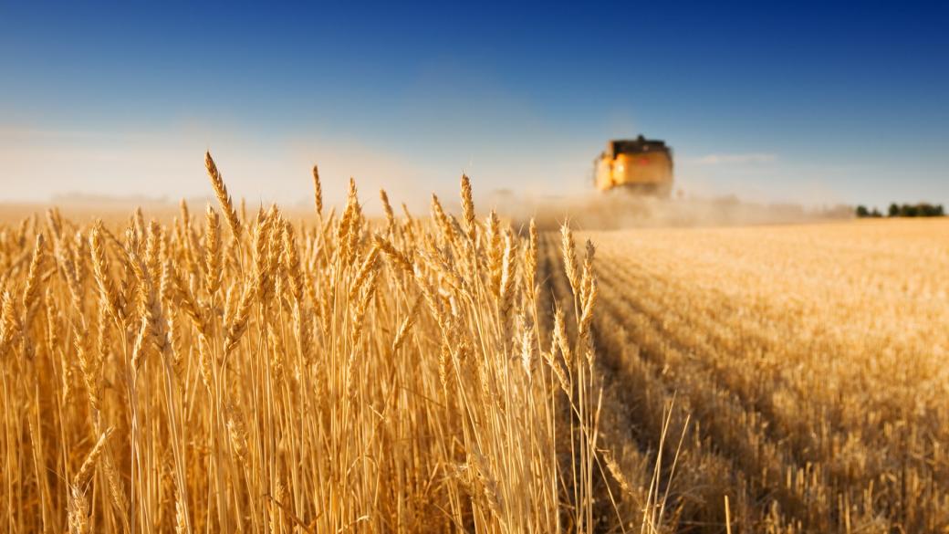 И Словакия блокира вноса на украинско зърно