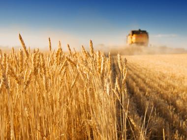 Българското правителство срещу световните пазари – рунд първи