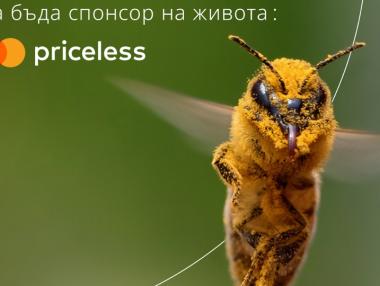 Mastercard и Pollenity разработват лоялна програма, подпомагаща пчеларите в България