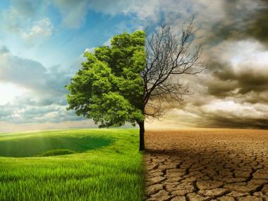 Нетната нула ще струва 2.7 трлн. долара годишно на света