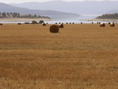 Вечерни новини: Кабинетът разпродава държавната земя?; Дефицит от 1.5% се оказа възможен