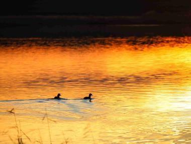 „Призрачни градове“: Защо Българското Черноморие пустее?