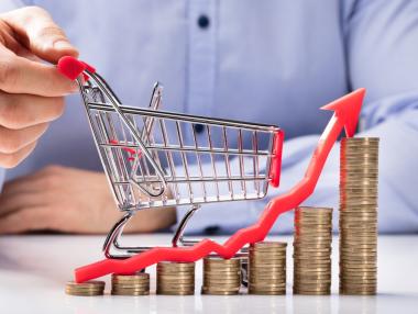 Държавата няма политика за сваляне на инфлацията*