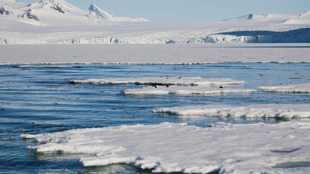 Последното парче земя на Арктика се продава за 300 млн. евро