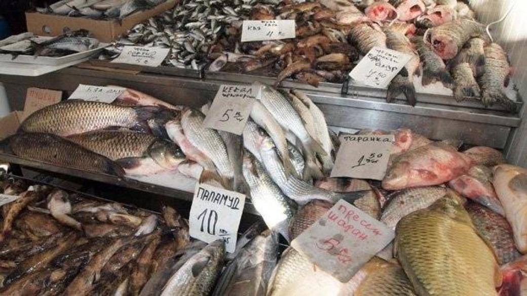 Започва износ на рибни продукти за Китай