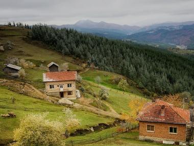 Изплатиха над 71 млн. лв. по ПРСР