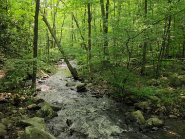 24 млн. лева за проекти срещу горските пожари
