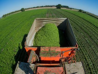 Ръст на биопроизводителите заради евросубсидиите