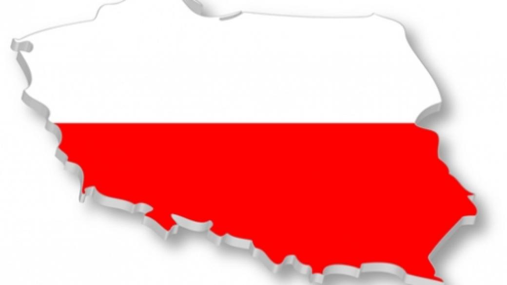 Референдум в Полша за мажоритарна система и финансиране на партиите