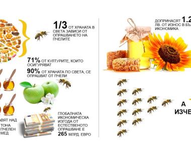 Защо изчезват пчелите?