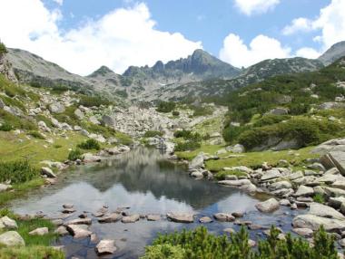 МОСВ позволи ремонта на лифт „Тодорка“