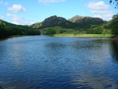 Над 1.4 млн. лв. преведе ДФЗ по проекти в рибарския сектор