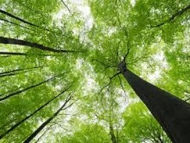 ЕК преведе 279 млн. лв. по програма „Околна среда 2007-2013“