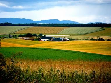 Започна изплащането на субсидиите за земеделските стопани