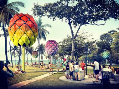 Еко ананаси спасяват океана