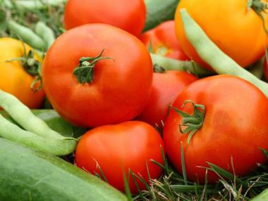 Проверяват плодове и зеленчуци за пестициди