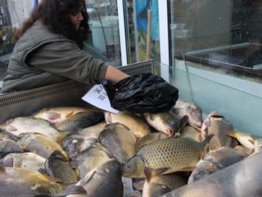 ДФ „Земеделие“ изплати над 3.2 милиона лева в сектор „Рибарство“