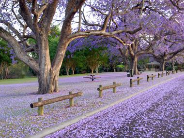 Най-пъстрите улици в света