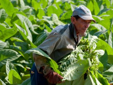 Наши земеделци оставят нивите си и поемат към Гърция