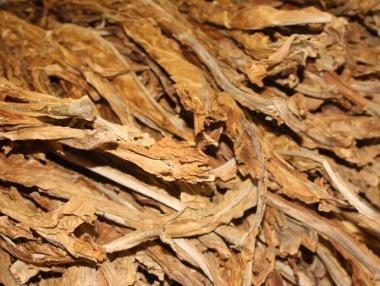 Изплатиха втория транш от над 20 млн. лева за тютюн сорт „Басми“