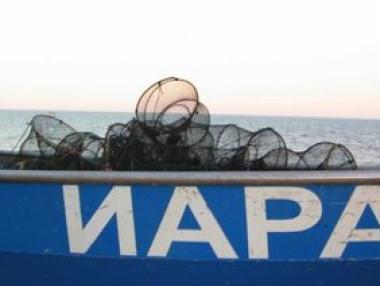 Уволнен е директорът на Агенцията по рибарство