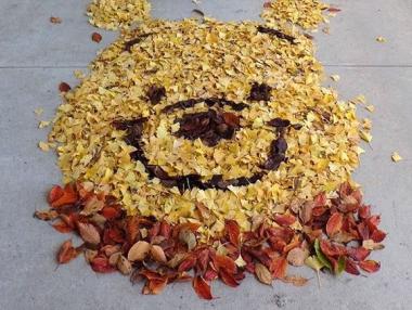 Изкуство с есенни листа