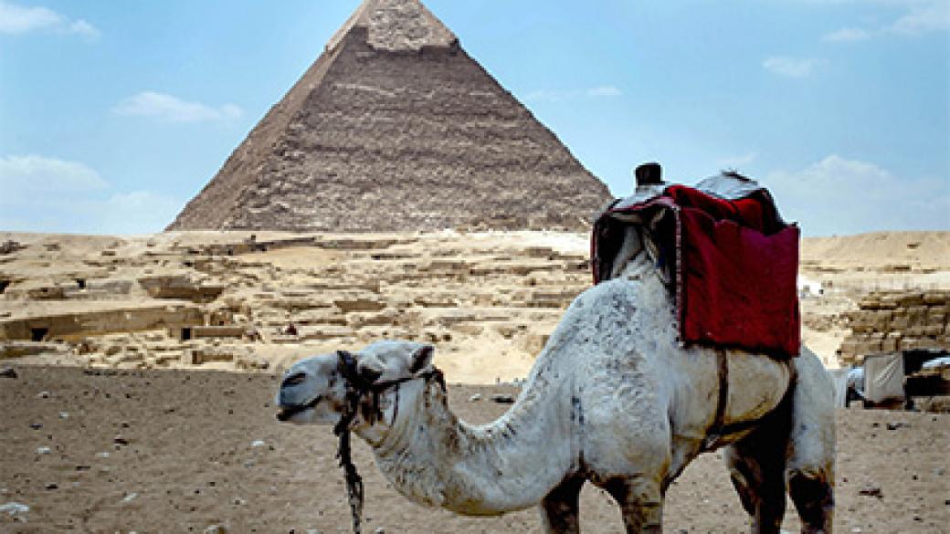 Туристическият поток в Египет е спаднал с близо 50%