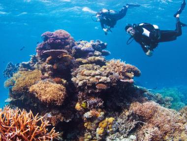 Deloitte оценява Големия бариерен риф на $42 млрд.