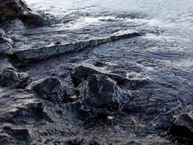 Екокатастрофата в Гърция ще струва поне 500 млн. евро