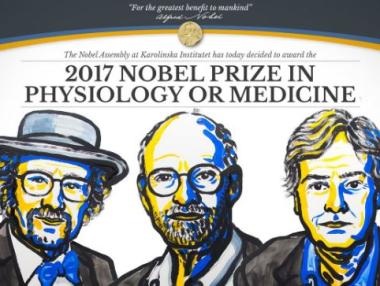 Трима американци получиха Нобеловата награда за медицина
