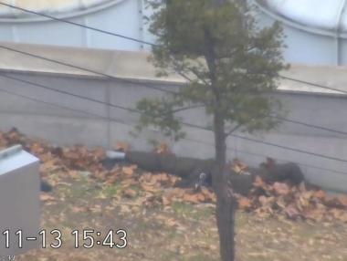 Бягство от Северна Корея