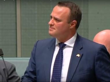 Австралийски депутати си предложиха брак в парламента