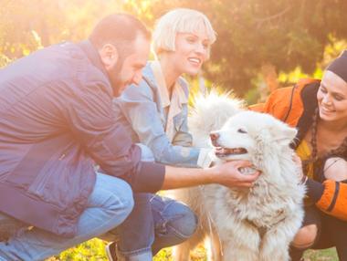 Purina дава €85 000 за проект, който сближава хората и домашните любимци