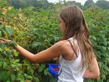 Депутати предлагат еднодневните договори да са и 4-часови