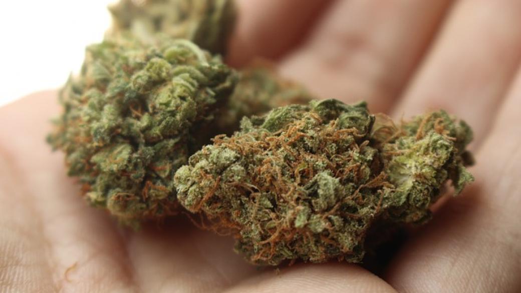 Канада може да е първата голяма държава, легализирала марихуаната