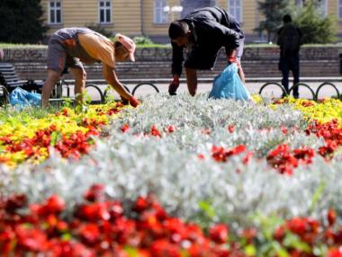 МТСП одобри още 1.88 млн. лв. за насърчаване на заетостта