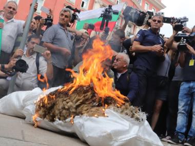 Животновъди гориха кожи и искаха оставки пред МС